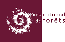 parc-national-des-forets