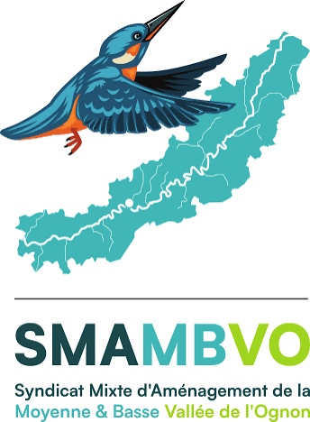 syndicat-mixte-damenagement-de-la-moyenne-et-basse-vallee-de-lognon-smambvo